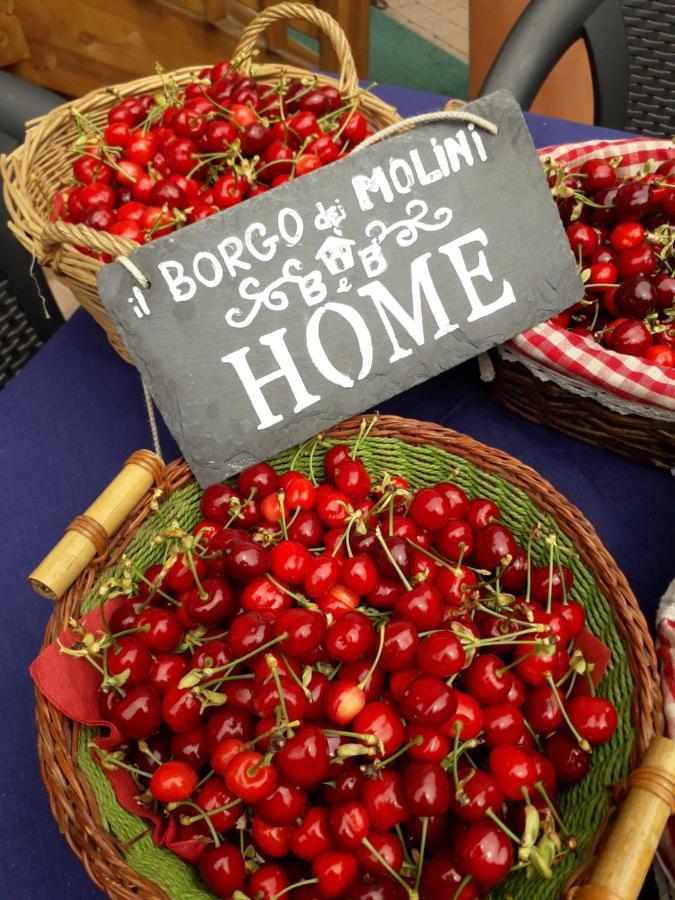 トッレーリア Il Borgo Dei Molini Bed & Breakfast エクステリア 写真